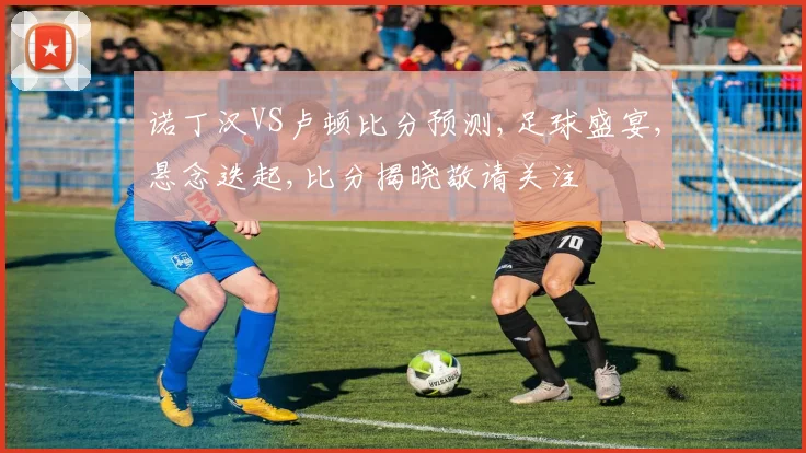诺丁汉VS卢顿比分预测,足球盛宴,悬念迭起,比分揭晓敬请关注